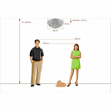 Потолочная люстра Бриз 464019612