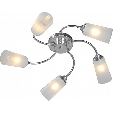 Потолочная люстра V2831-9/5PL