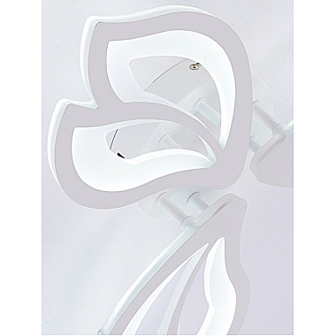 Потолочная люстра Fortuna LED LAMPS 81107/2C