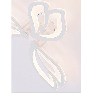 Потолочная люстра Fortuna LED LAMPS 81107/2C