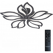 Потолочная люстра Fortuna LED LAMPS 81107/5C