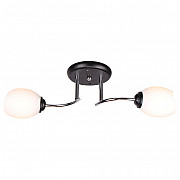 Потолочная люстра MD.0677-2-S BK