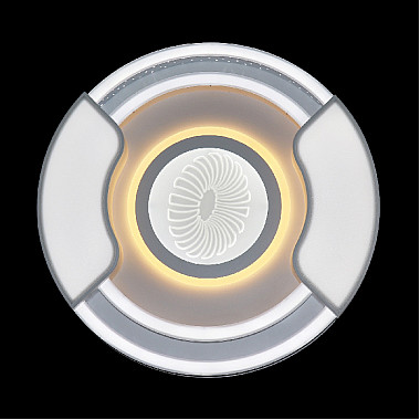 Потолочная люстра LED LAMPS LED LAMPS 81088