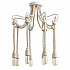 Потолочная люстра Arte Lamp A9477PL-8WG