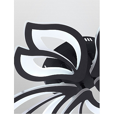 Потолочная люстра Fortuna LED LAMPS 81107/5C