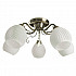 Потолочная люстра Arte Lamp 54 A6373PL-5AB