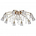 Потолочная люстра MW-Light Подснежник 294015910