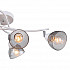 Потолочная люстра F-Promo Rosebud 2350-6U