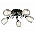 Потолочная люстра Omnilux OML-31607-05