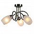 Потолочная люстра Arte Lamp Mutti A8616PL-3AB