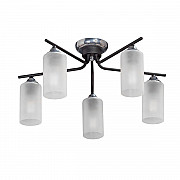 Потолочная люстра Vitaluce V4753-1/5PL