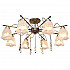Потолочная люстра Toplight Delia TL1195X-08AB