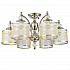 Потолочная люстра ST Luce Coresia SL1750.102.06