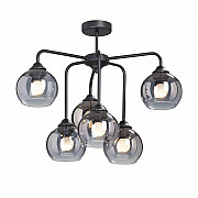 Потолочная люстра Vitaluce V4553-1/6PL