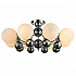 Потолочная люстра ST Luce SL715.102.08