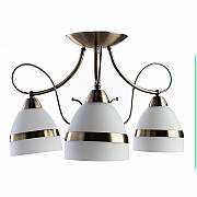 Потолочная люстра Arte Lamp 55 A6192PL-3AB