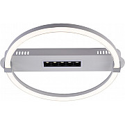 Потолочная люстра Aspect 10253/1LED