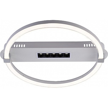 Потолочная люстра Aspect 10253/1LED
