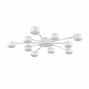 Потолочная люстра Torina 8343/10C