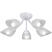 Потолочная люстра V3405-0/5PL