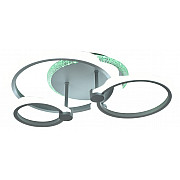 Потолочная люстра SS1L 000030283