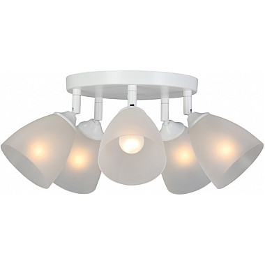 Потолочная люстра V4355-0/5PL