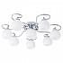 Потолочная люстра Arte Lamp A6058PL-8CC