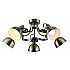 Потолочная люстра Arte Lamp Martin A5216PL-5AB