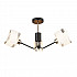 Потолочная люстра Seven Fires Бавено 66221.01.69.03