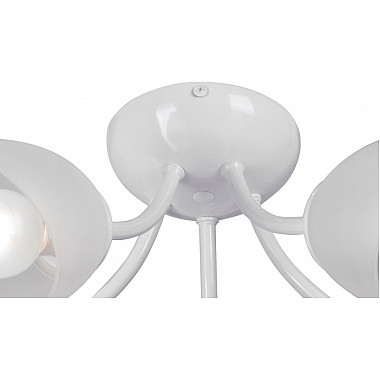 Потолочная люстра V3405-0/5PL