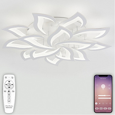 Потолочная люстра Olimp LED LAMPS 81335