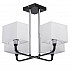 Потолочная люстра MW-Light Прато 5 101011904
