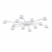 Потолочная люстра Torina 8343/12C