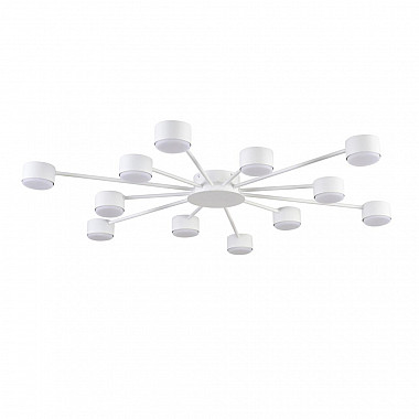 Потолочная люстра Torina 8343/12C