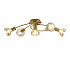 Потолочная люстра Alba 7006-305