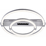 Потолочная люстра Aspect 10253/2LED