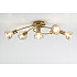 Потолочная люстра Alba 7006-305