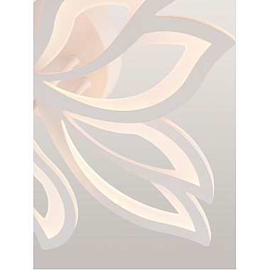 Потолочная люстра Fortuna LED LAMPS 81107/6C