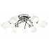 Потолочная люстра Arte Lamp Opal A8186PL-6CC