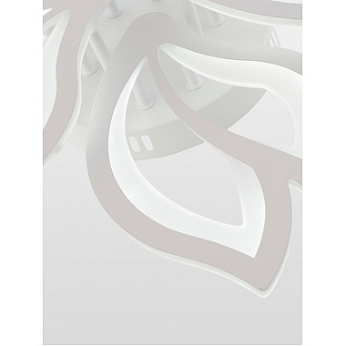 Потолочная люстра Fortuna LED LAMPS 81107/6C