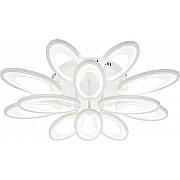 Потолочная люстра Ecla 10242/12LED
