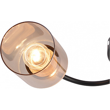 Потолочная люстра 01608-0.3-03 BK+BRASS