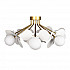 Потолочная люстра Loft IT Matisse 10008/8C White