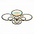 Потолочная светодиодная люстра Evoled Cerina SLE500542-08RGB