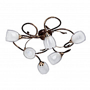 Потолочная люстра Vitaluce V3262/6PL