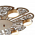 Потолочная светодиодная люстра Favourite Ornamentum 2604-6C