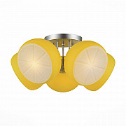 Потолочная люстра Arancio SL482.902.05