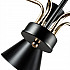 Потолочная люстра Arte Lamp Wellington A2711PL-5BK