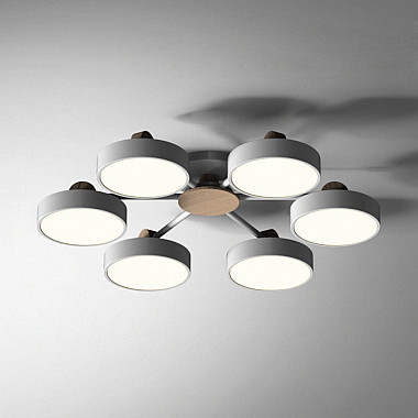 Потолочная люстра LC-11-0656