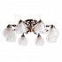 Потолочная люстра Arte Lamp Malina A7695PL-8AB
